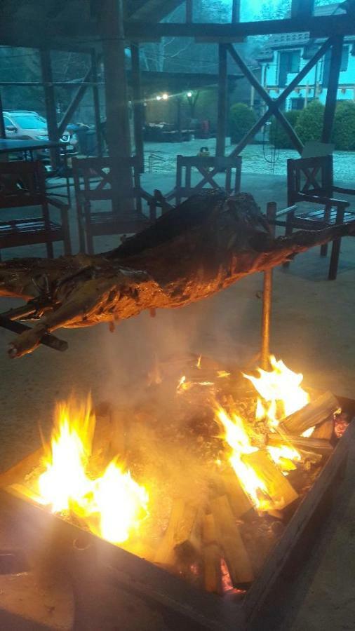 Domeniul Roa Hotel Avrig Ngoại thất bức ảnh